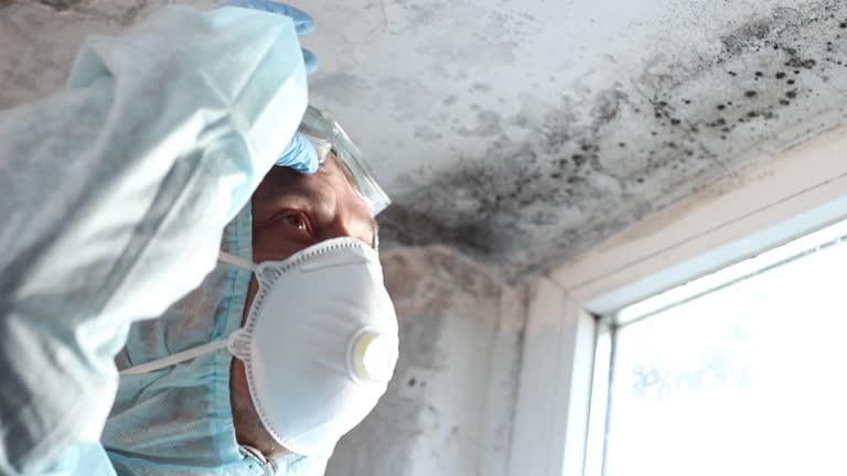 Why You Should Choose Our Mold Remediation Services in Umatilla, FL